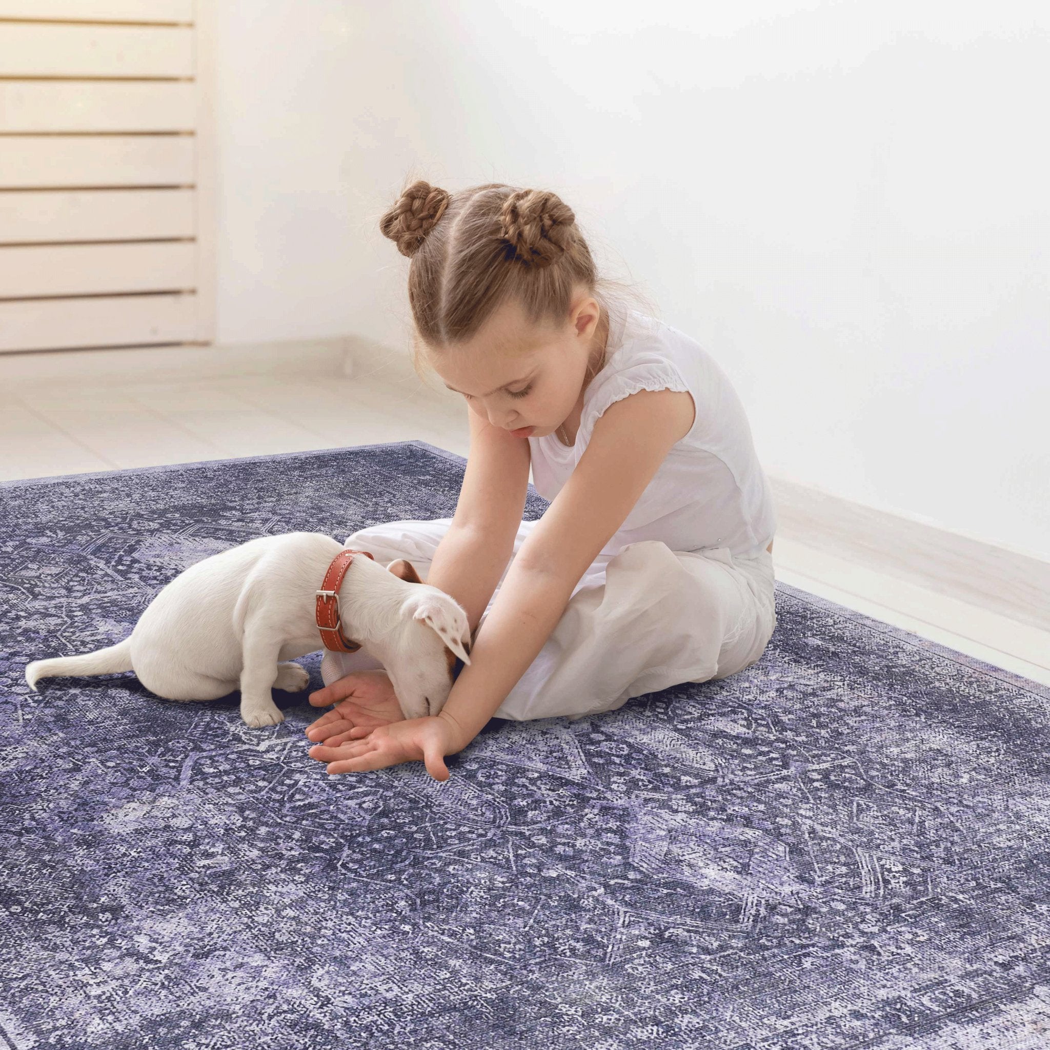 Bovi 5' x 8' Anthracite/ Machine Washable Low-Pile, Non-Slip, Non-Shedding, Foldable, Kid & Pet Friendly Area Rug - MidinMod