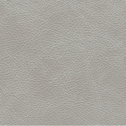 Amiata 2-Piece Contemporary Leather Sectional with Right-Facing Chaise