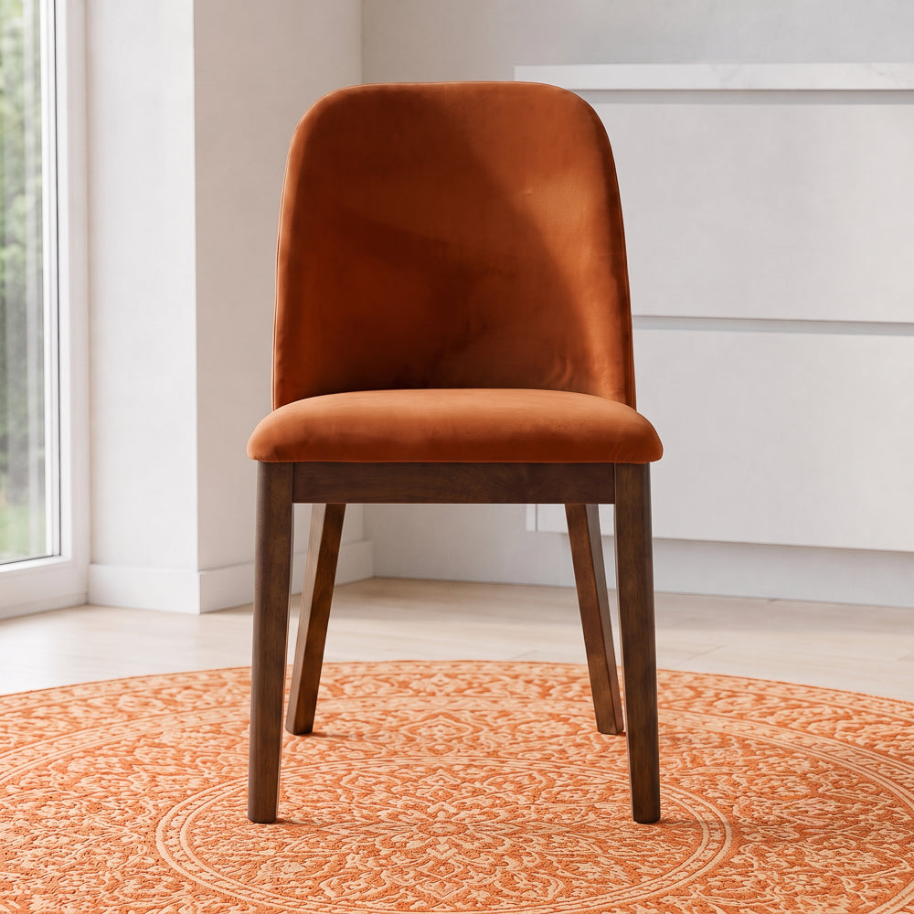 Front view of the velvet dining chair on a patterned round rug beside a bright window