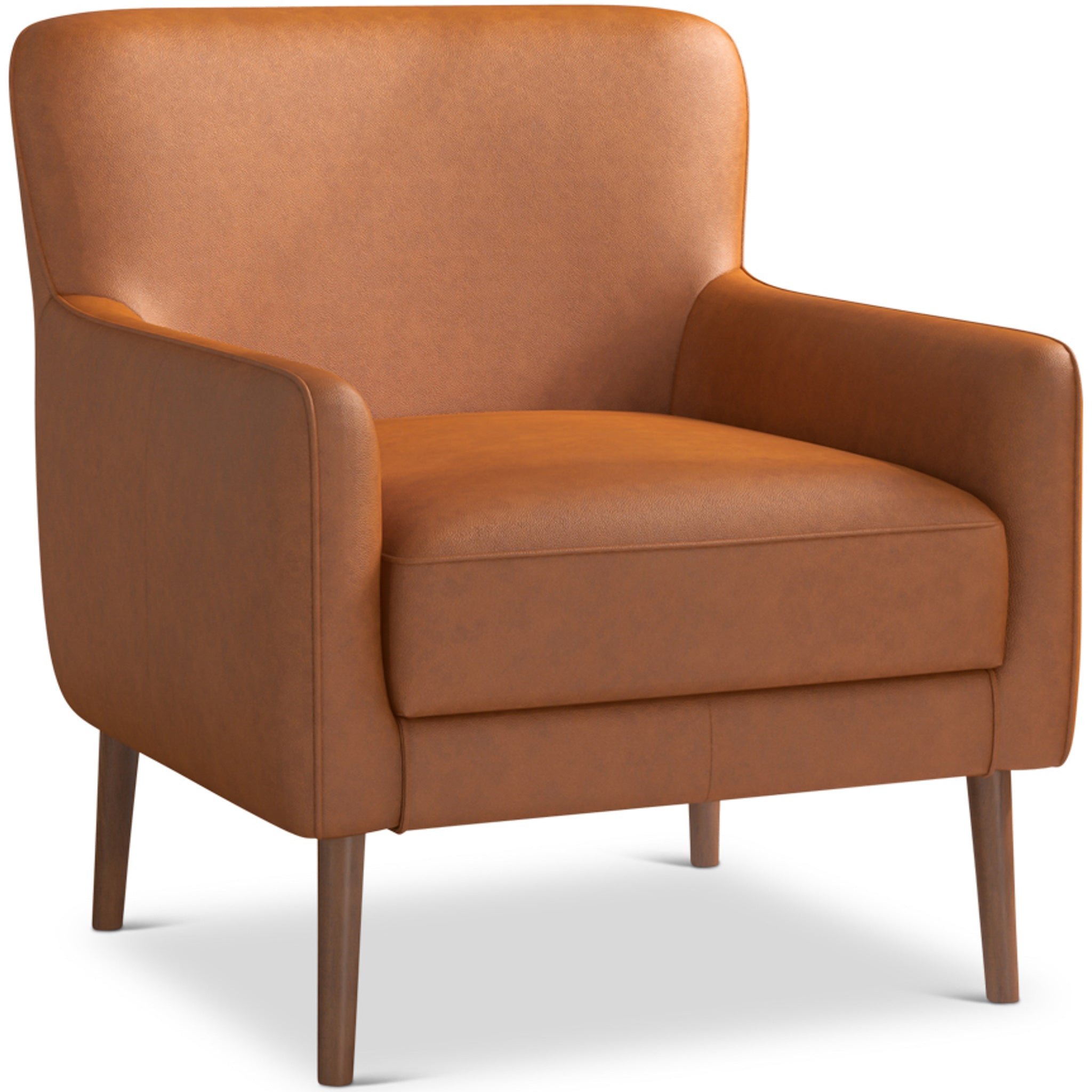 Swindon Genuine Leather Lounge Chair Tan - MidinMod