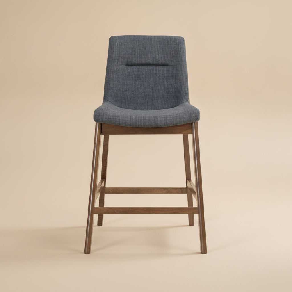 Danilo Dark Gray Counter Stool Set of 2