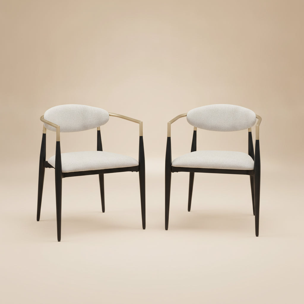 Alexis Fabric Upholstered Dining Arm Chair (Set of 2)