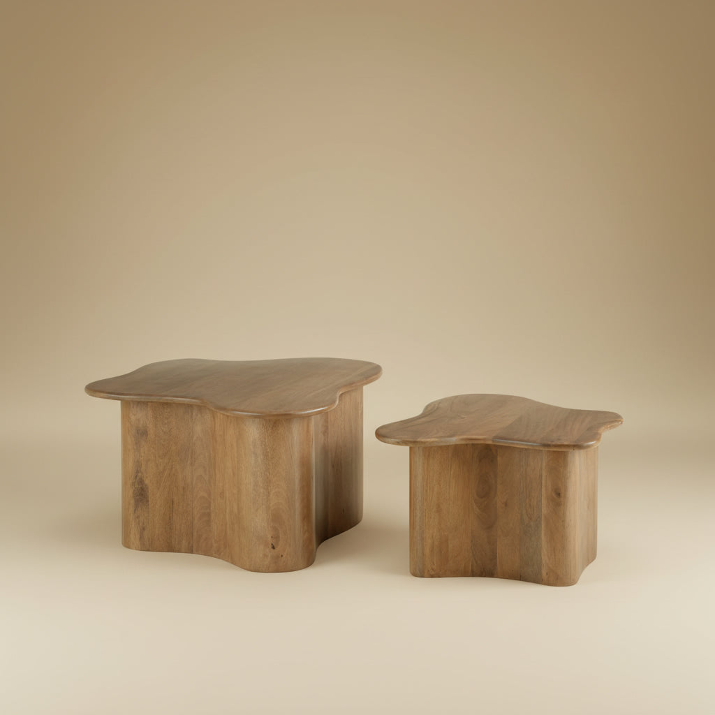 Abeford Accent Coffee Table (Set of 2)