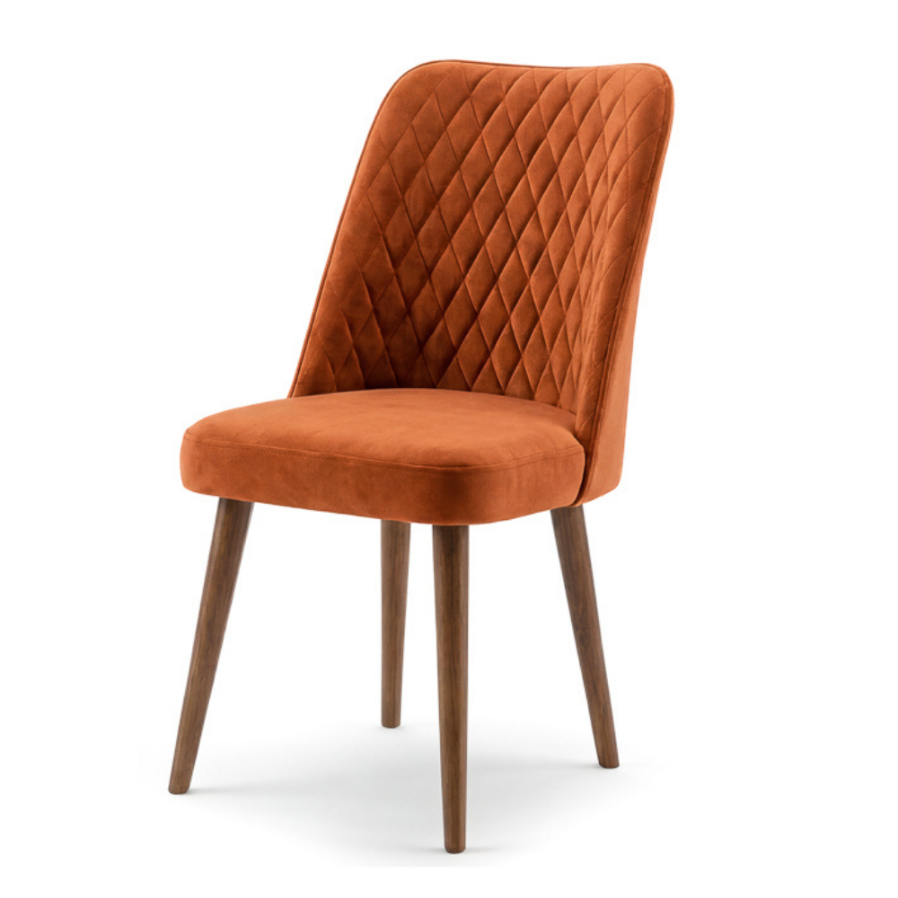 Evette Mid Century Modern Burnt Orange Dining Chair - Set of 2
