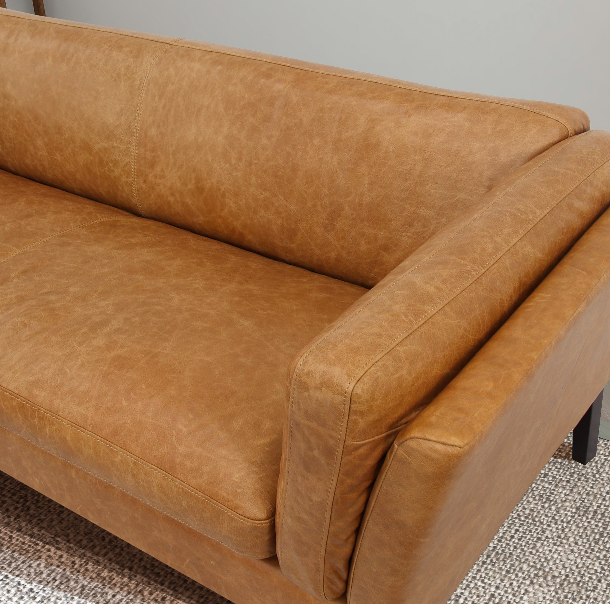 Warner Waxy Tan Leather Sofa - MidinMod