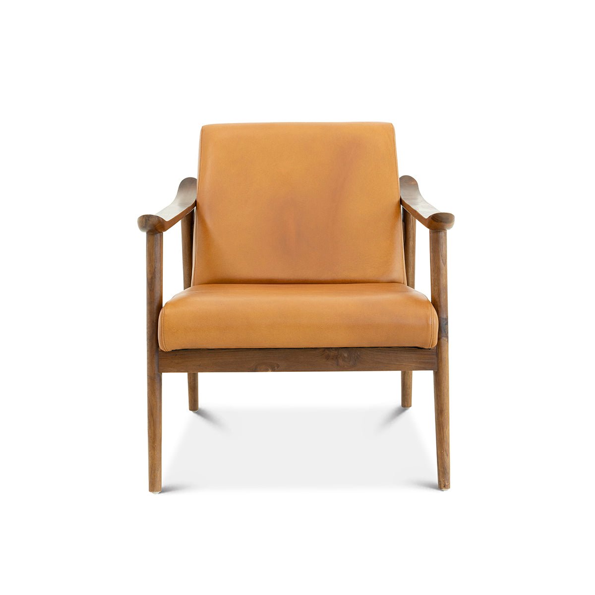 Mameda Tan Leather Lounge Chair - MidinMod