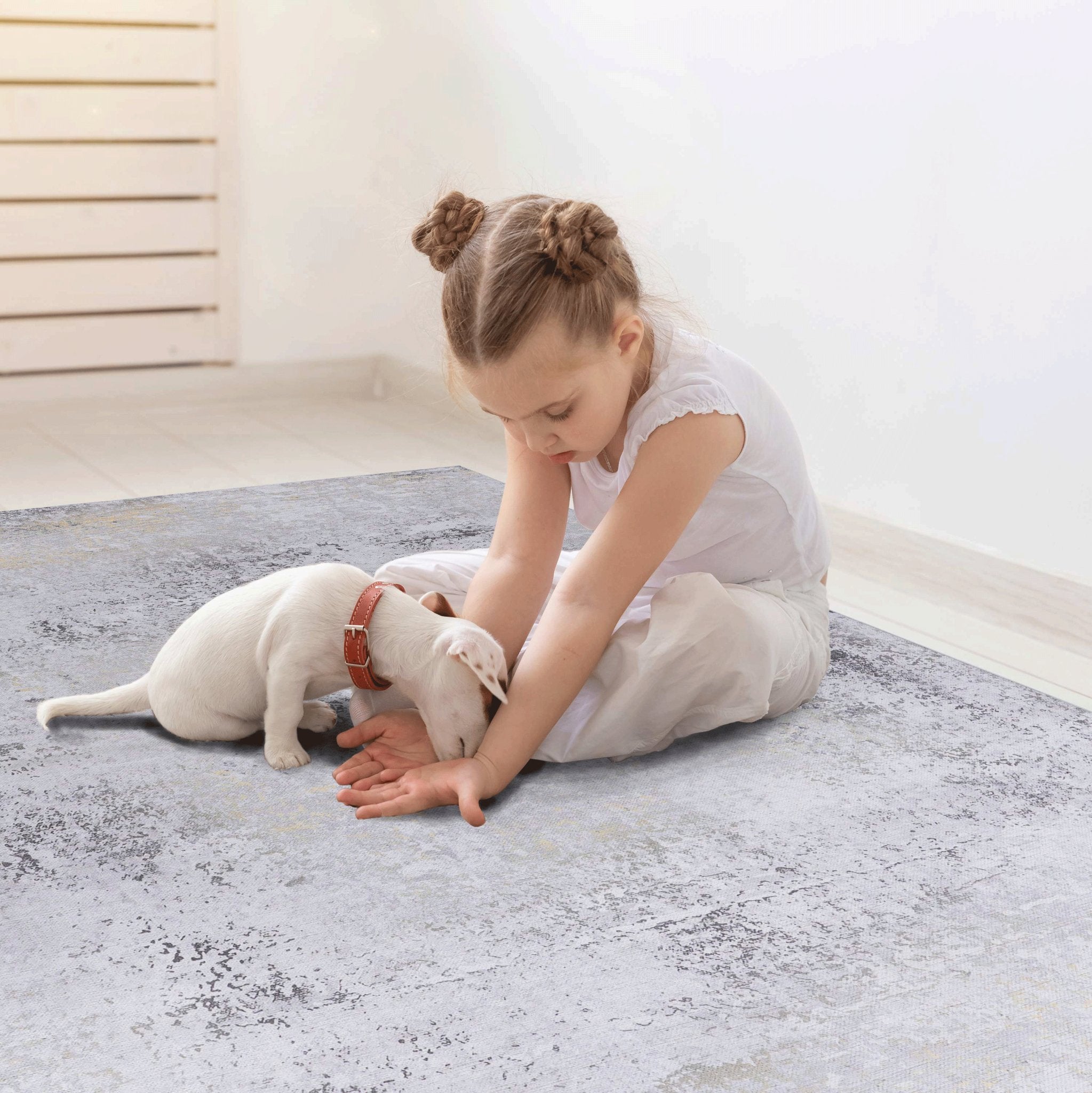 Layla 6' x 9' Gray/Gold Machine Washable Low-Pile, Non-Slip, Non-Shedding, Foldable, Kid & Pet Friendly Area Rug - MidinMod