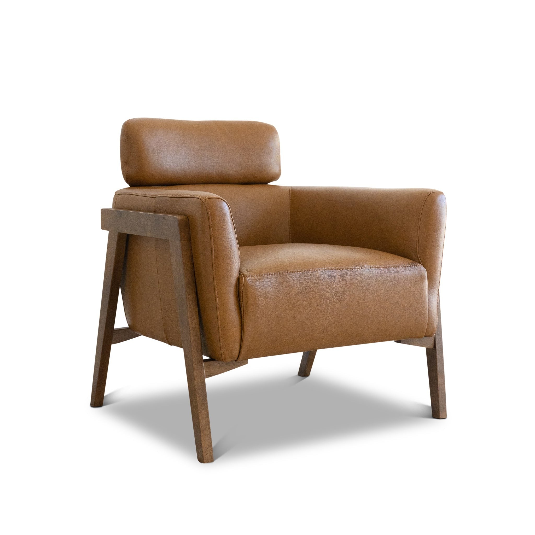 Ivy Missouri Leather Lounge Chair - MidinMod