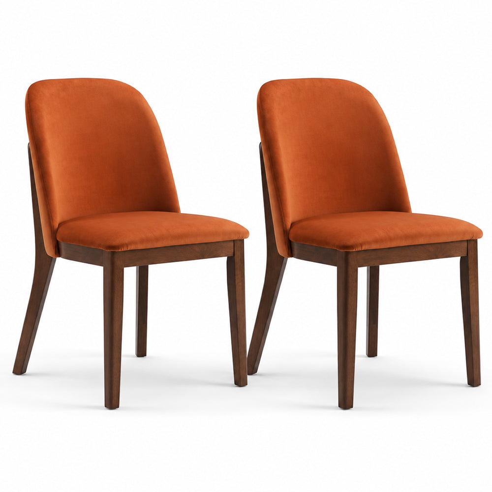 Set of 2 burnt orange velvet dining chairs side by side on a plain white background