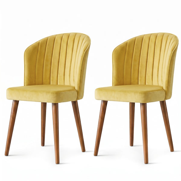 Calvin Dining Chair Set Of 2 - Gold Velvet