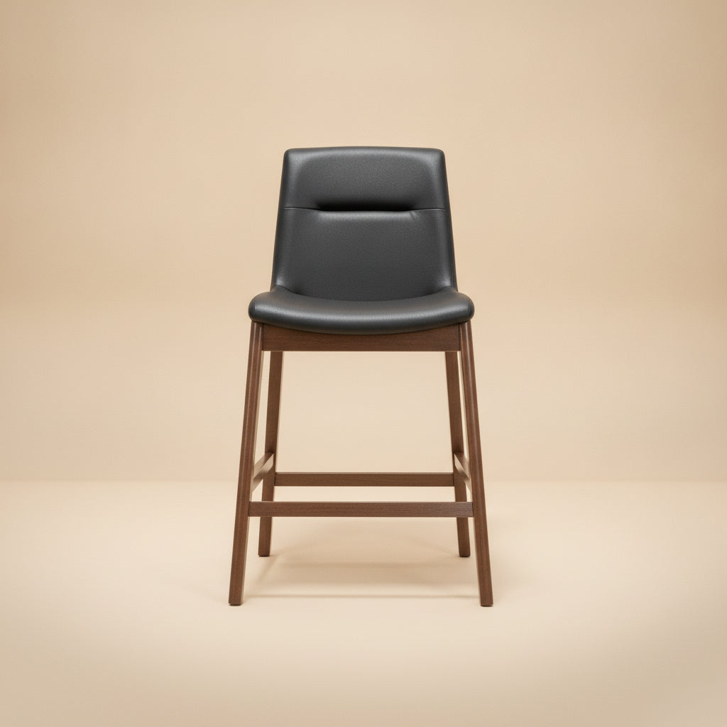 Danilo Black Leather Counter Stool - Set of 2