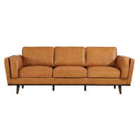 Leather Sofas