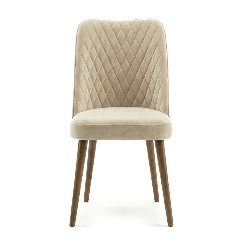 Evette Mid-Century Modern Velvet Dining Chairs | Set of 2 | MidinMod
