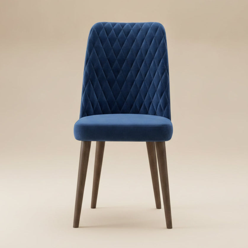 Evette Mid-Century Modern Velvet Dining Chairs | Set of 2 | MidinMod