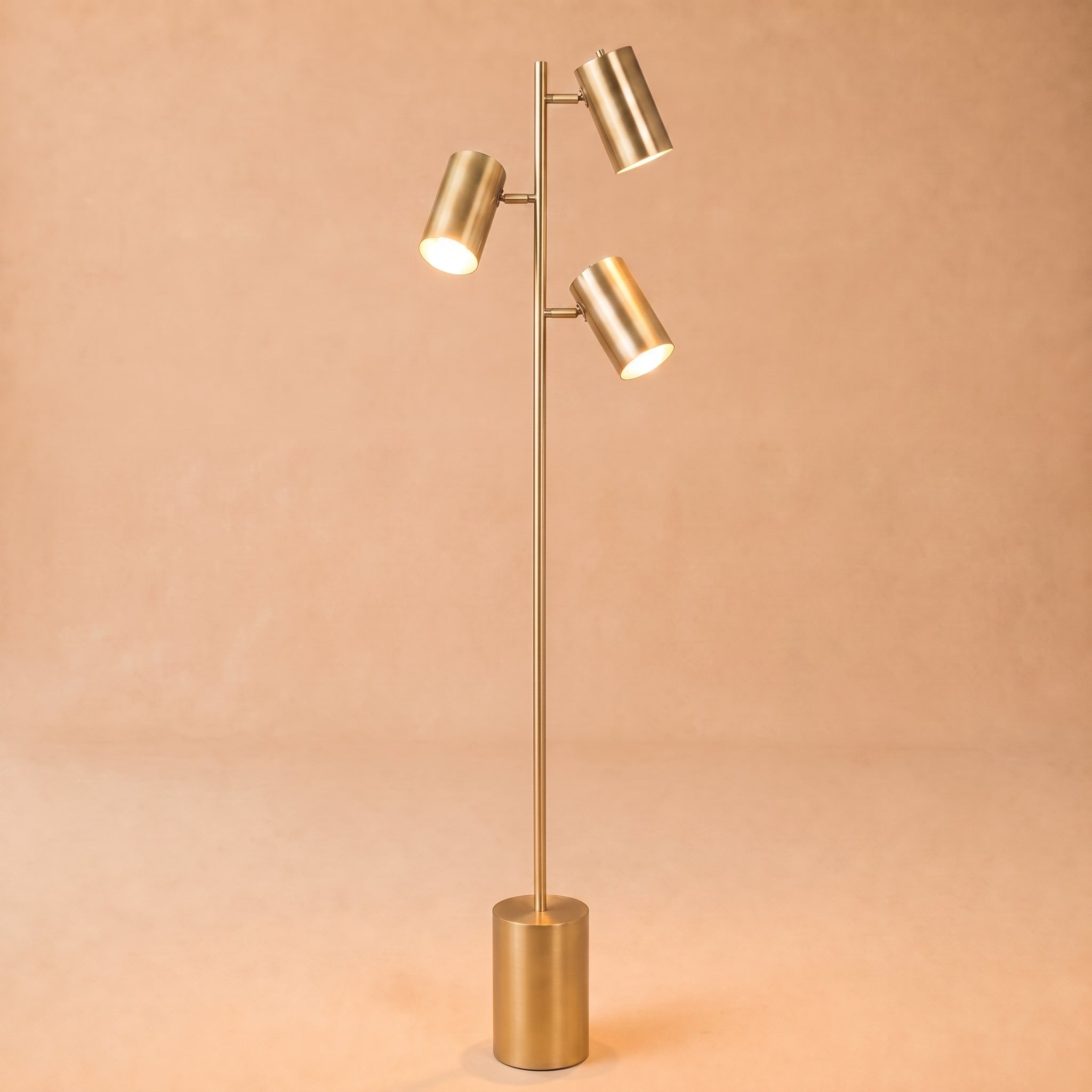 Harmony Brassed Gold Floor Lamp with Triple Spots and Rotary Switch | MidinMod
