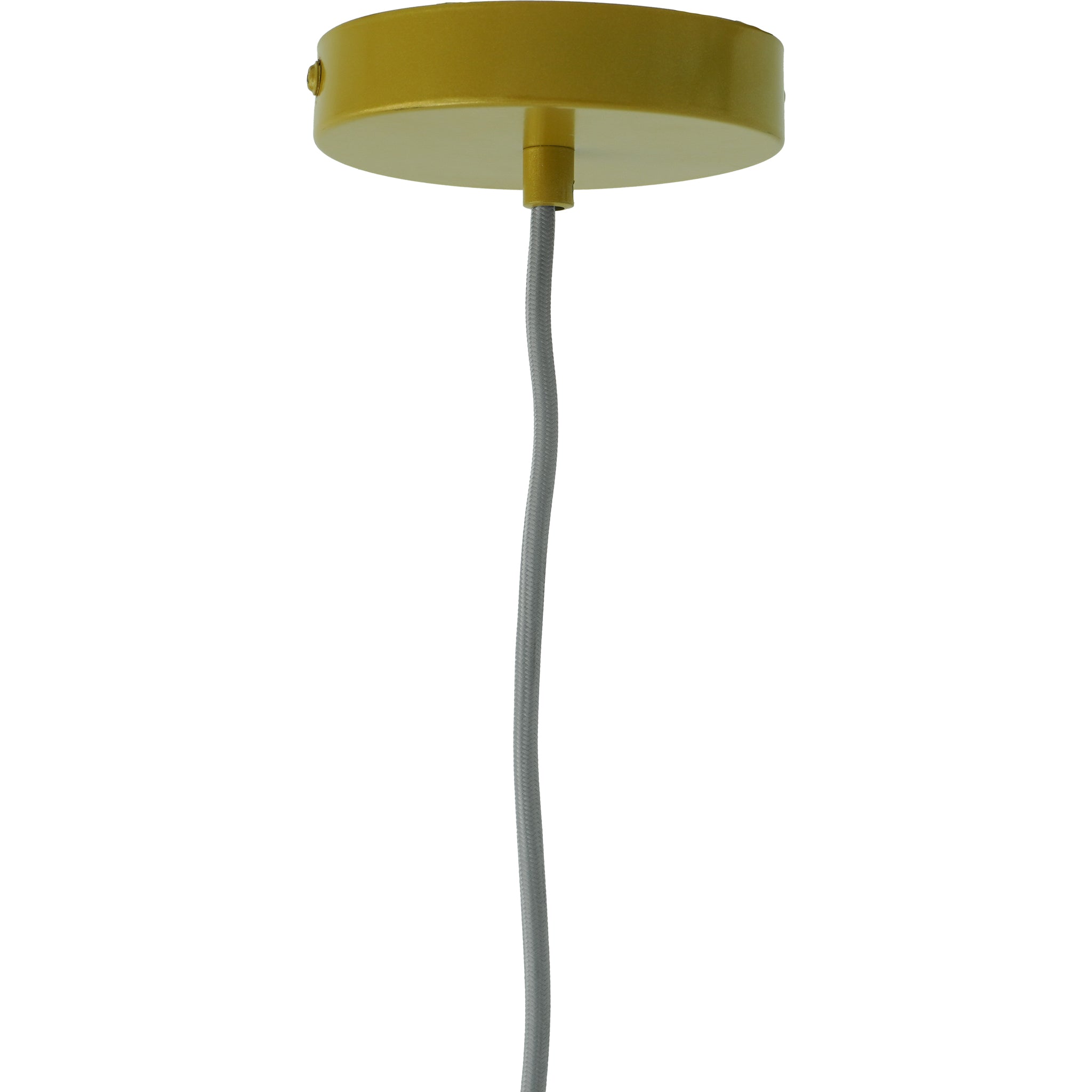 Radiate Gold - Clear Pendant Lamp