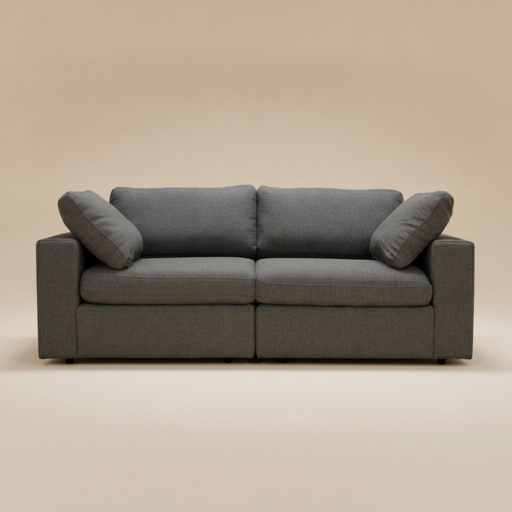 Texas Dark Gray Modern Modular 2-Piece Sofa | MidinMod
