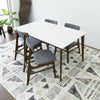 Selena Dining Set - 4 Colins Grey Dining Chairs | MidinMod | TX | Best Furniture stores in Houston