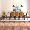 Adira XL Walnut Dining Set - 8 Evette Gold Velvet Chairs | MidinMod | TX | Best Furniture stores in Houston